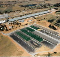 Co-operative Bulk Handling CBH Wheat Storage and Transfer Depot - Accommodation Brisbane