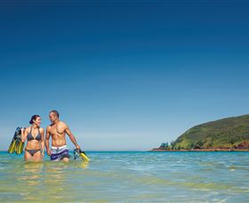 Snorkelling On Keswick Island - Accommodation Brisbane 0