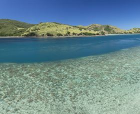 Snorkelling On Keswick Island - Accommodation Brisbane 1