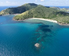 Snorkelling On Keswick Island - Accommodation Brisbane 2