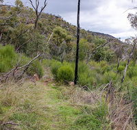 Lynchs loop trail - Accommodation Brisbane