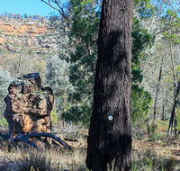Eualdrie walking track - Accommodation Brisbane