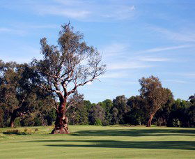 Corowa Golf Club - Accommodation Brisbane 5