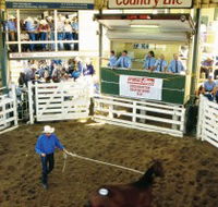 Gracemere Exhibition Complex - Accommodation Brisbane