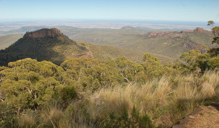 Kaputar NSW Accommodation Brisbane