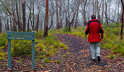 Mount Kaputar Summit Walk - Accommodation Brisbane 2