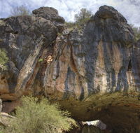 Borenore Karst Conservation Reserve - Accommodation Brisbane