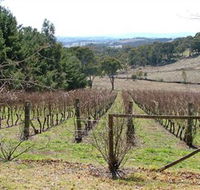 Habitat Vineyard - Accommodation Brisbane