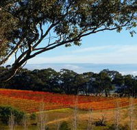 Bloodwood Estate - Accommodation Brisbane