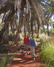 Millstream Chichester National Park - Accommodation Brisbane 2