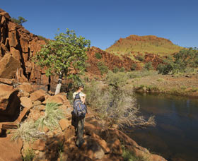 Millstream Chichester National Park - Accommodation Brisbane 3