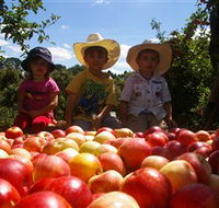 Bonny Glen Fruits - Accommodation Brisbane