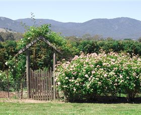 Samaria Farm - Accommodation Brisbane 2