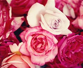 Samaria Farm - Accommodation Brisbane 1