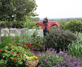 Samaria Farm - Accommodation Brisbane 4