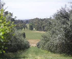 Samaria Farm - Accommodation Brisbane 7