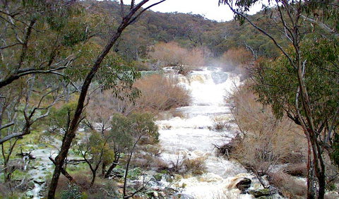 Mullion Range State Conservation Area - Accommodation Brisbane 0