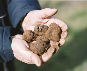 A Slice Of Orange - Accommodation Brisbane 0