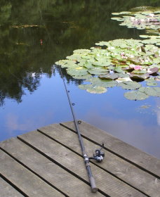 Orange NSW Accommodation Brisbane