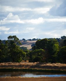 Brae - Accommodation Brisbane 4