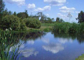 Yan Yean Reservoir Park - Accommodation Brisbane 0