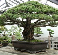 Peards Complex Albury - Accommodation Brisbane