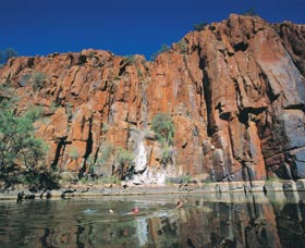 Python Pool - Accommodation Brisbane 1