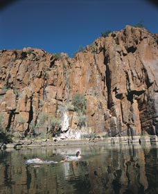 Python Pool - Accommodation Brisbane 3