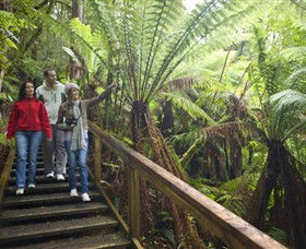 Otway Fly Treetop Adventures - Accommodation Brisbane 0