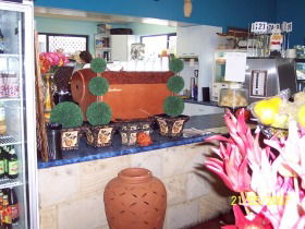 Warwicks Gardens Galore - Accommodation Brisbane 2