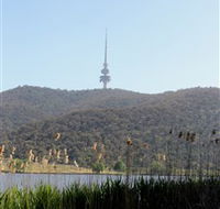 Black Mountain Peninsula - Accommodation Brisbane