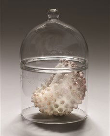 ANU School Of Art Gallery - Accommodation Brisbane 2