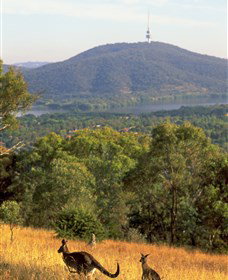 Canberra Centenary Trail - Accommodation Brisbane 0