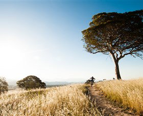 Canberra Centenary Trail - Accommodation Brisbane 1