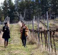 Mount Majura Vineyard - Accommodation Brisbane