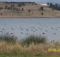 Lake Liddell Recreation Area - Accommodation Brisbane