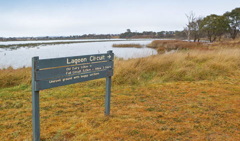 Lagoon Circuit Walking Track - Accommodation Brisbane 0