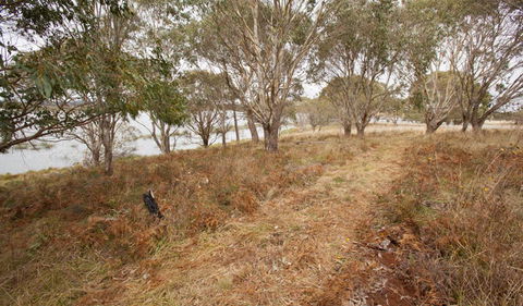 Lagoon Circuit Walking Track - Accommodation Brisbane 1