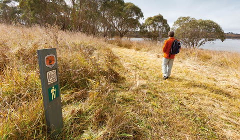 Lagoon Circuit Walking Track - Accommodation Brisbane 2