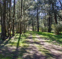 Wombeyan Waterfall walking track - Accommodation Brisbane