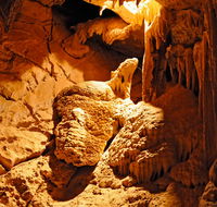Fig Tree Cave - Accommodation Brisbane