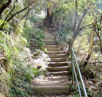 Nature track - Accommodation Brisbane