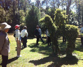 Wildwood Garden - Accommodation Brisbane 3