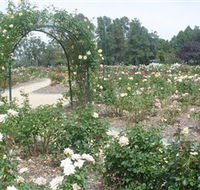 Victoria Park Rose Garden - Accommodation Brisbane
