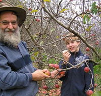Pine Crest Orchard