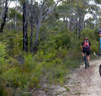 McMahon's Point ride - Wentworth Falls - Accommodation Brisbane