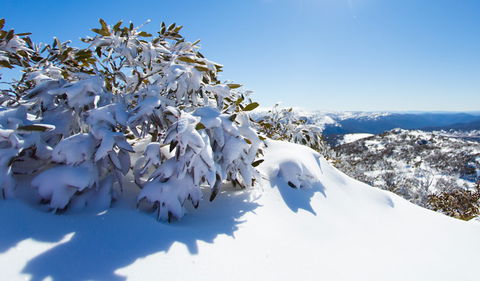 Perisher - Accommodation Brisbane 3