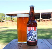 Feral Brewing Company - Accommodation Brisbane