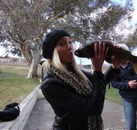 Eucumbene Trout Farm - Accommodation Brisbane
