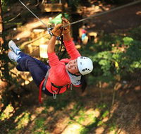 Trees Adventure Grose River Park - Accommodation Brisbane